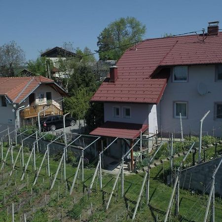 Apartment House Sumrak Bizeljsko Экстерьер фото